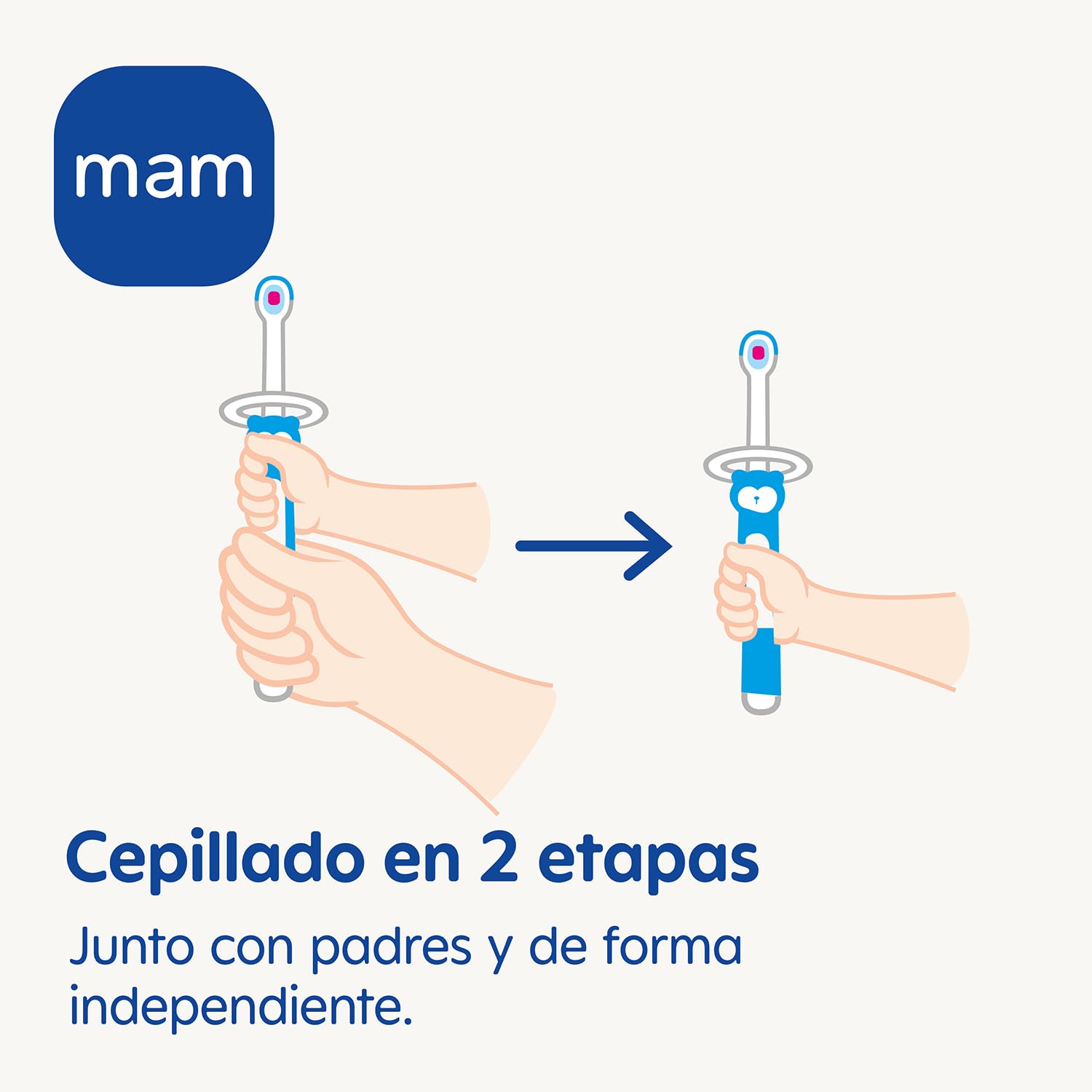 mam-set-de-2-cepillos-de-dientes-de-aprendizaje-para-beb-extra-largo-para-limpie image 3