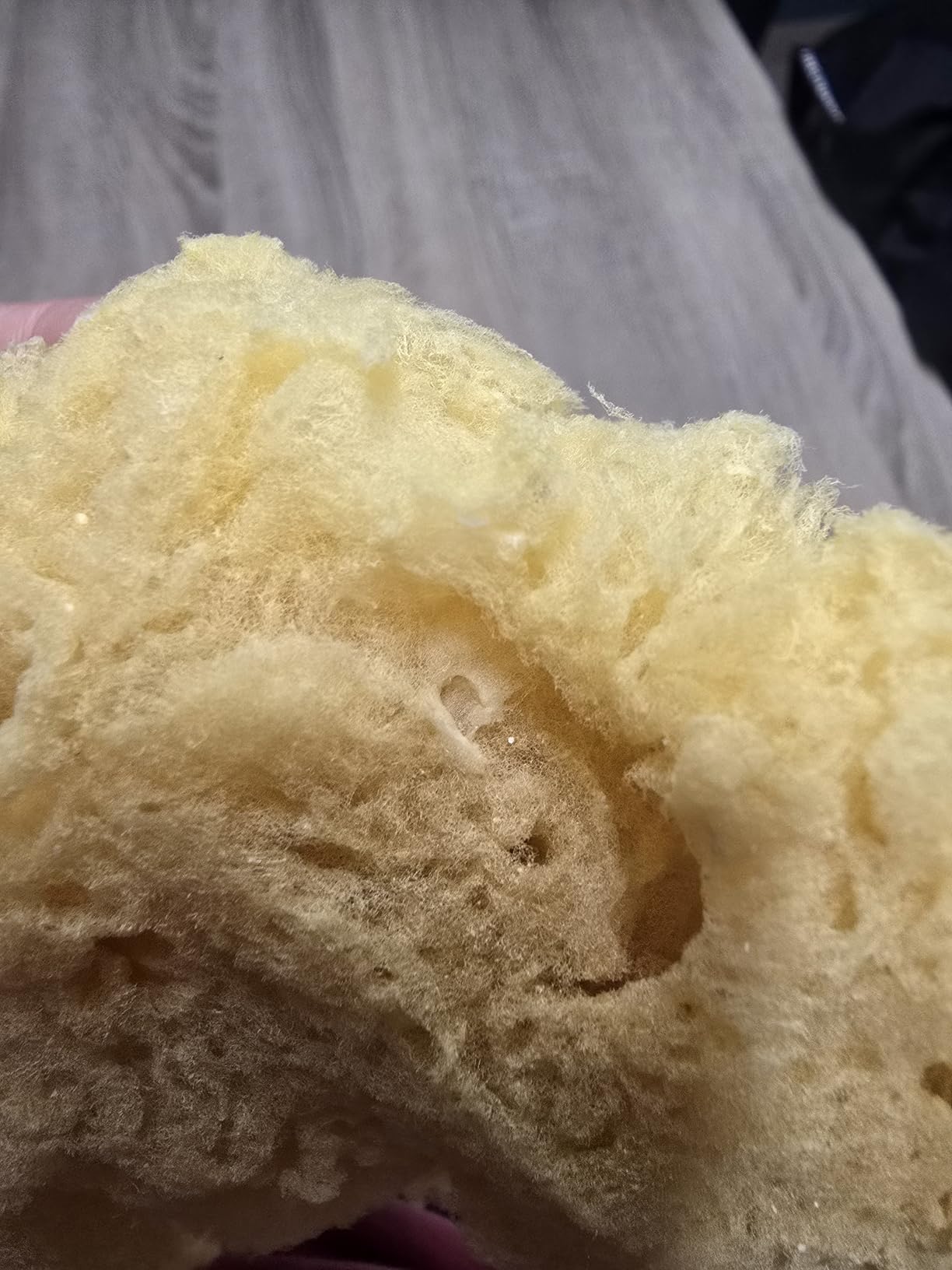 Absorbe como ninguna