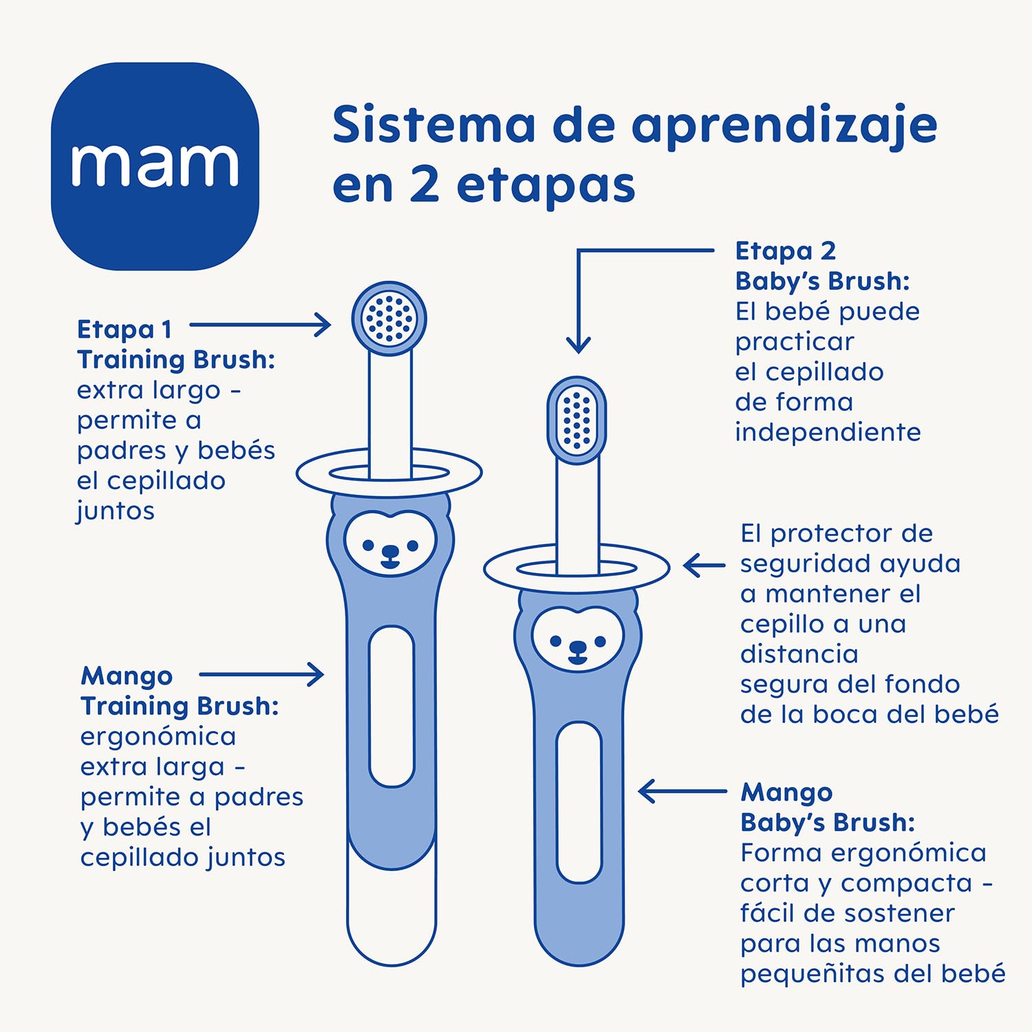 mam-set-de-2-cepillos-de-dientes-de-aprendizaje-para-beb-extra-largo-para-limpie image 2
